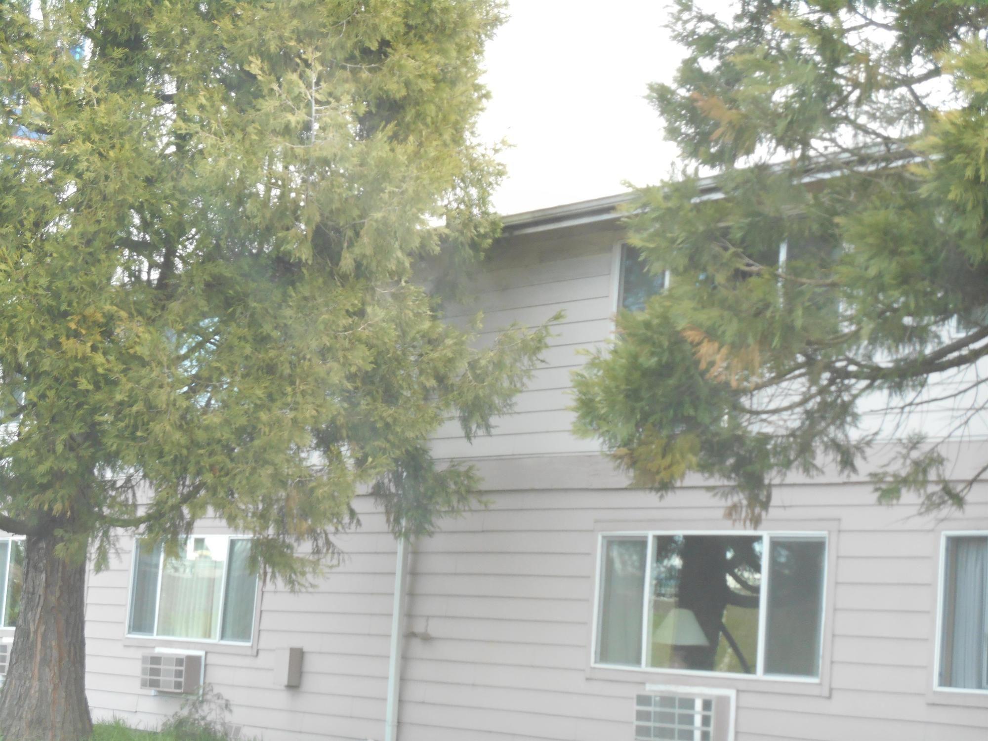 Guesthouse Inn & Suites Eugene/Springfield Dış mekan fotoğraf