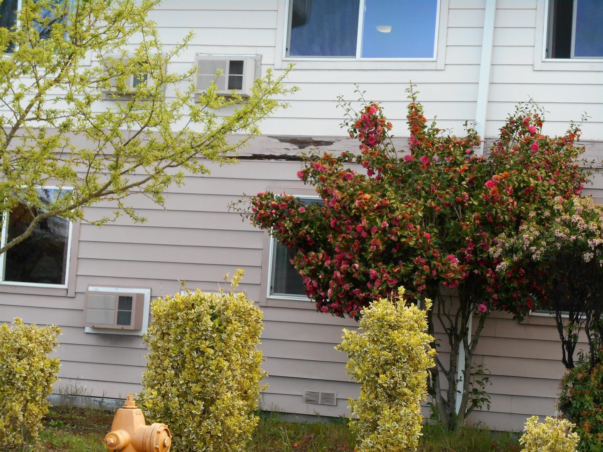 Guesthouse Inn & Suites Eugene/Springfield Dış mekan fotoğraf