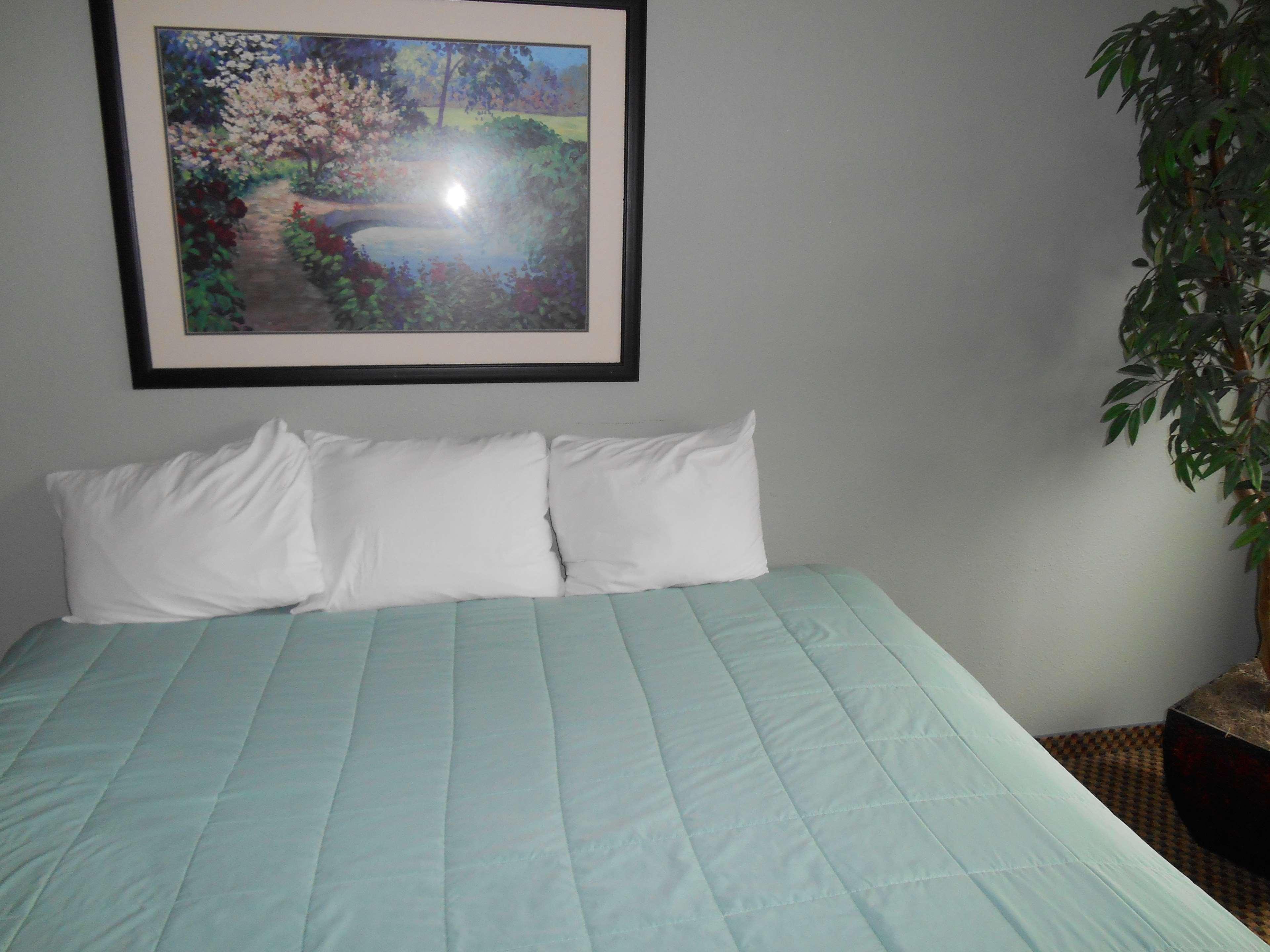 Guesthouse Inn & Suites Eugene/Springfield Dış mekan fotoğraf