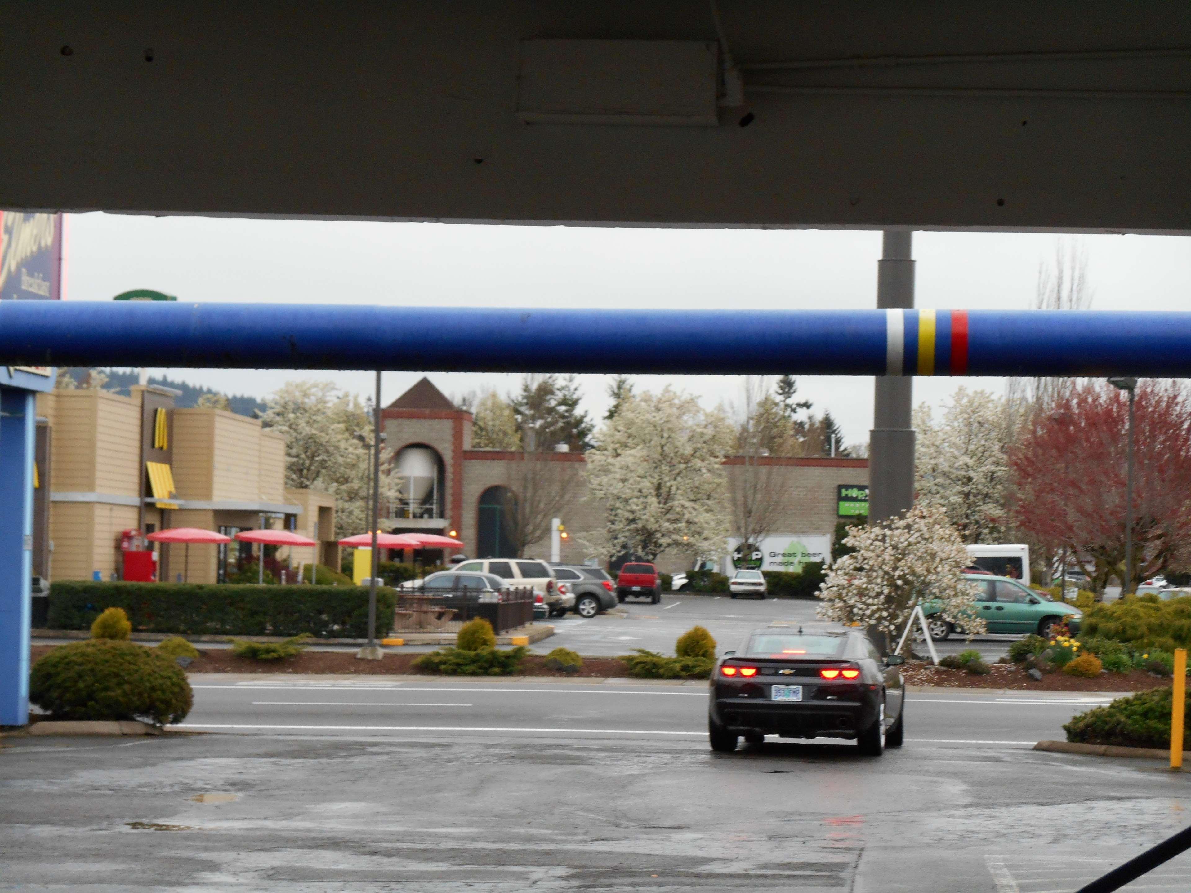 Guesthouse Inn & Suites Eugene/Springfield Dış mekan fotoğraf